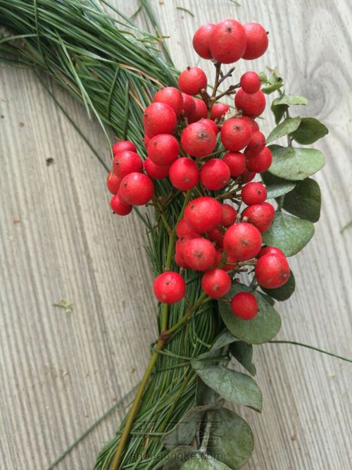 0元DIY圣诞花环，给自己的圣诞礼物。 第7步