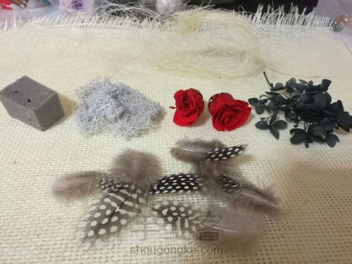 零基础:创意羽毛永生花玻璃罩DIY,永生花礼品。 第1步