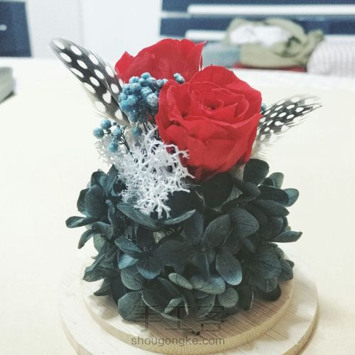 零基础:创意羽毛永生花玻璃罩DIY,永生花礼品。 第10步