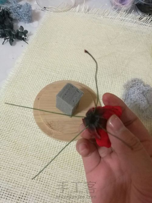 零基础:创意羽毛永生花玻璃罩DIY,永生花礼品。 第2步