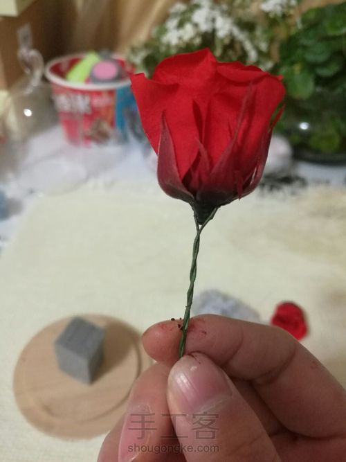 零基础:创意羽毛永生花玻璃罩DIY,永生花礼品。 第3步