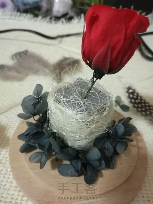 零基础:创意羽毛永生花玻璃罩DIY,永生花礼品。 第5步