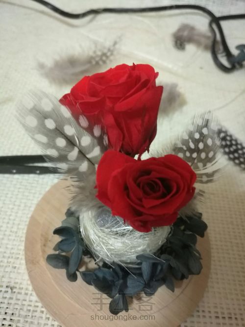 零基础:创意羽毛永生花玻璃罩DIY,永生花礼品。 第7步