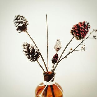 超简易北欧风干花摆件，小清新家居。