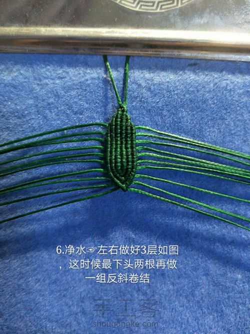 豌豆叶 第7步
