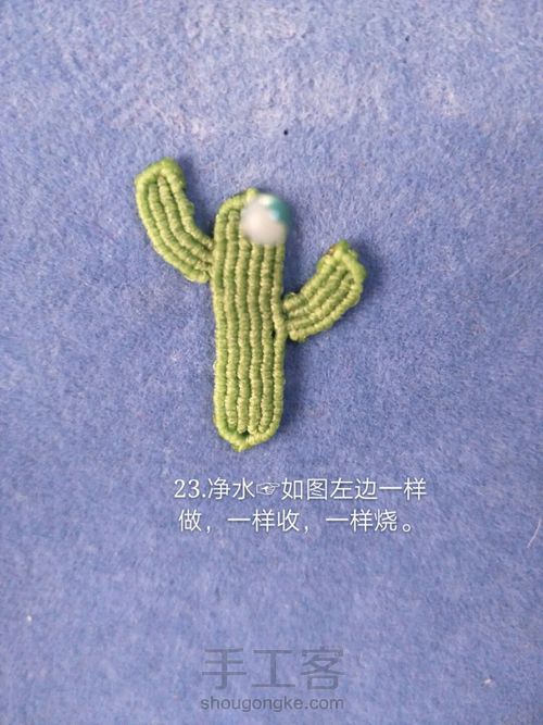 斜卷结仙人掌🌵 第24步