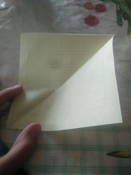 全新的四叶草 第1步