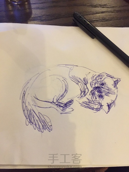 我的猫 第5步