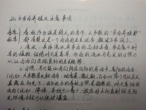 如何在北方养多肉 第1步