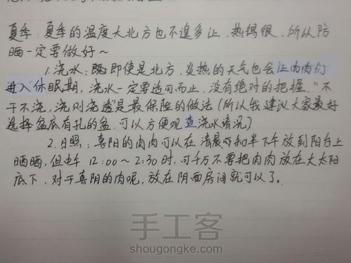 如何在北方养多肉 第2步