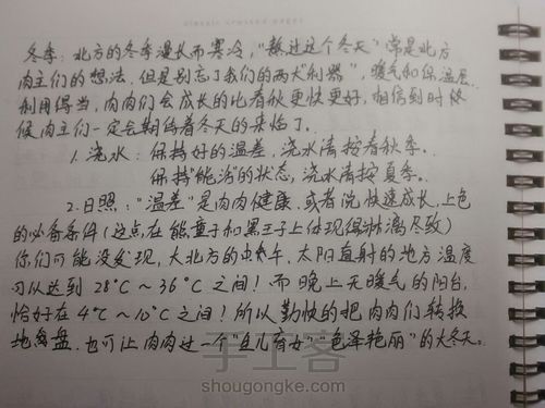 如何在北方养多肉 第3步