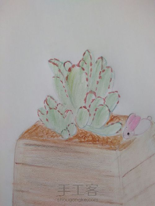 熊童子彩铅绘 第14步