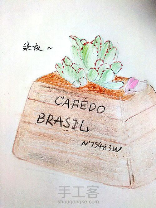 熊童子彩铅绘 第16步