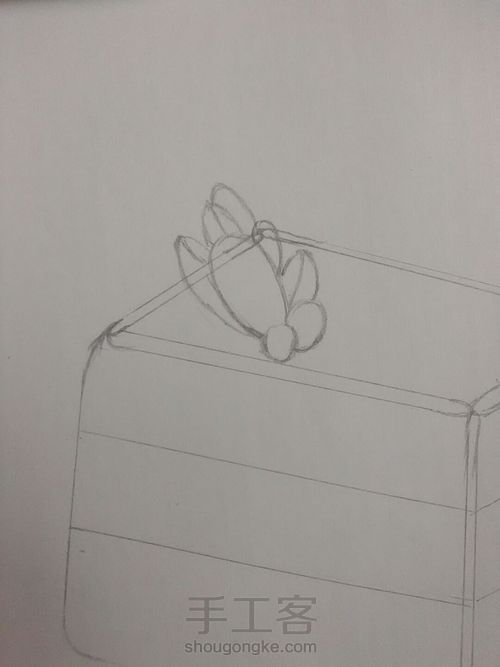 熊童子彩铅绘 第3步