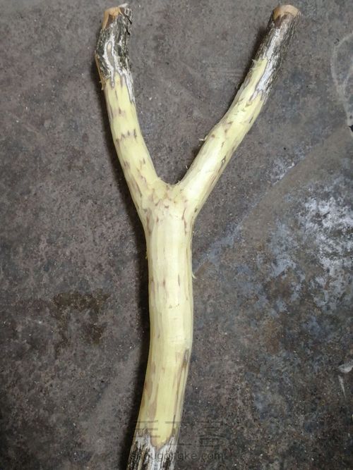 开年手作:高山实木弹弓 第3步