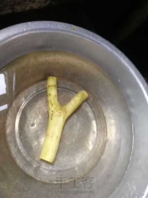 开年手作:高山实木弹弓 第5步