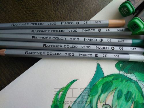 马克彩铅手绘之萤草 第8步