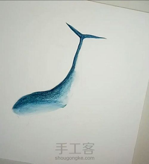 鲸鱼4 第4步