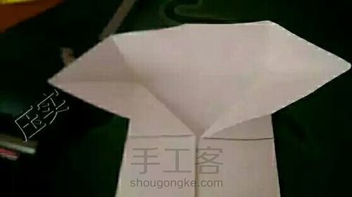 【教程】德国玫瑰1 第17步