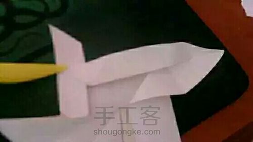 【教程】德国玫瑰1 第25步