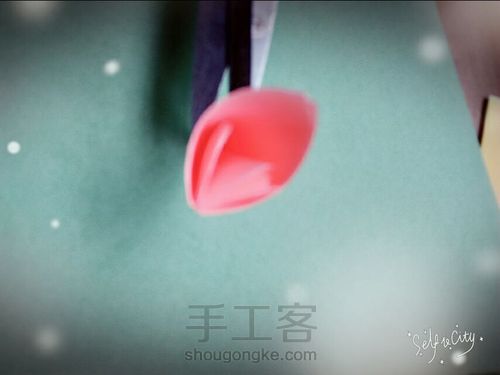 樱花飘飘 第9步