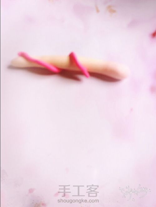 玫瑰小公主! 第11步