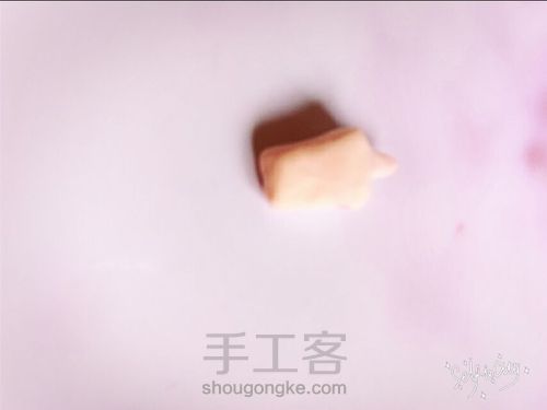 玫瑰小公主! 第13步