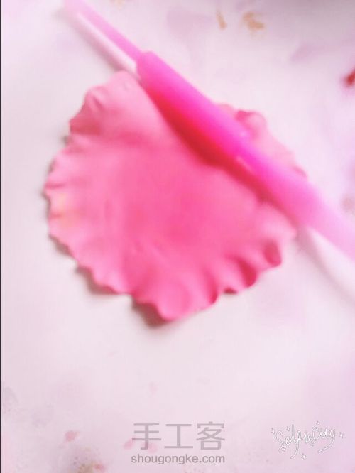 玫瑰小公主! 第18步