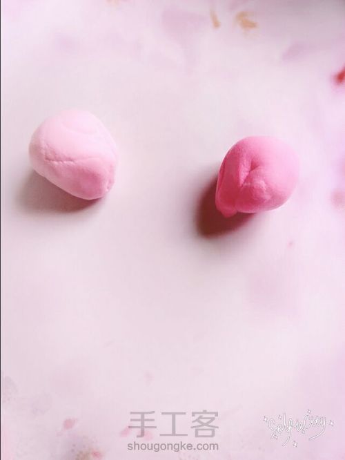 玫瑰小公主! 第19步