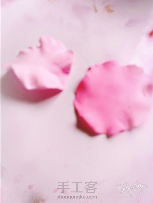 玫瑰小公主! 第20步