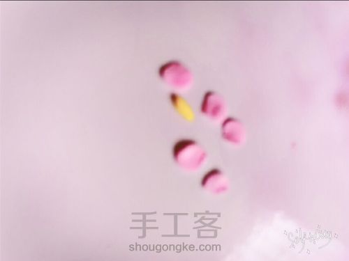 玫瑰小公主! 第21步