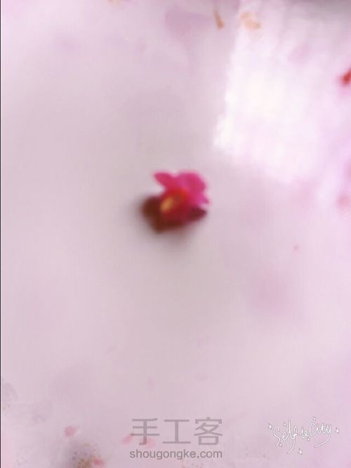 玫瑰小公主! 第22步