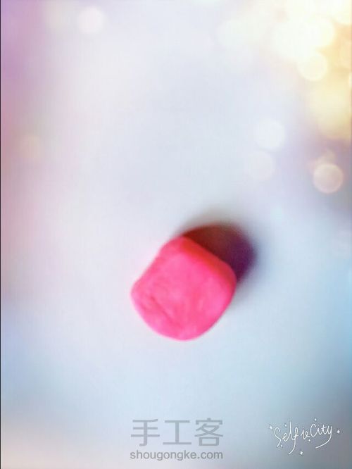 玫瑰小公主! 第4步