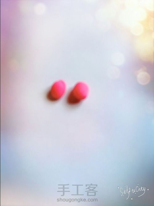 玫瑰小公主! 第5步