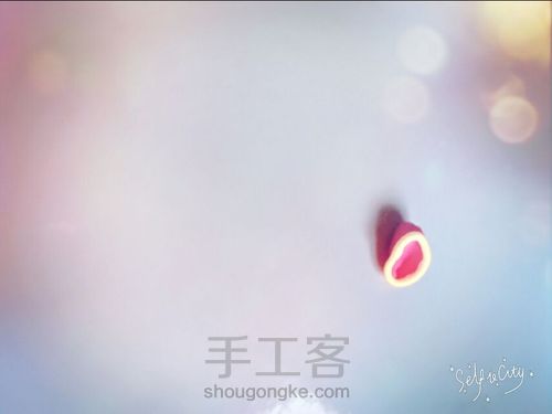 玫瑰小公主! 第7步