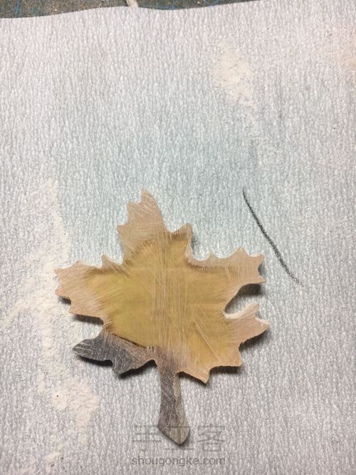枫叶 第4步