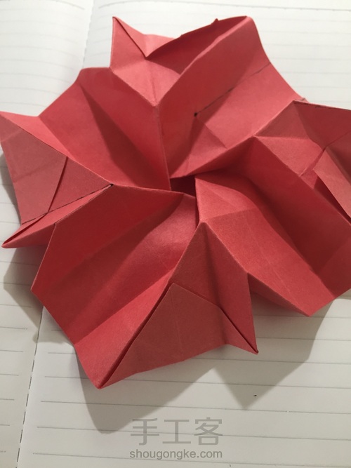 表白必送的川崎玫瑰【比心 第33步