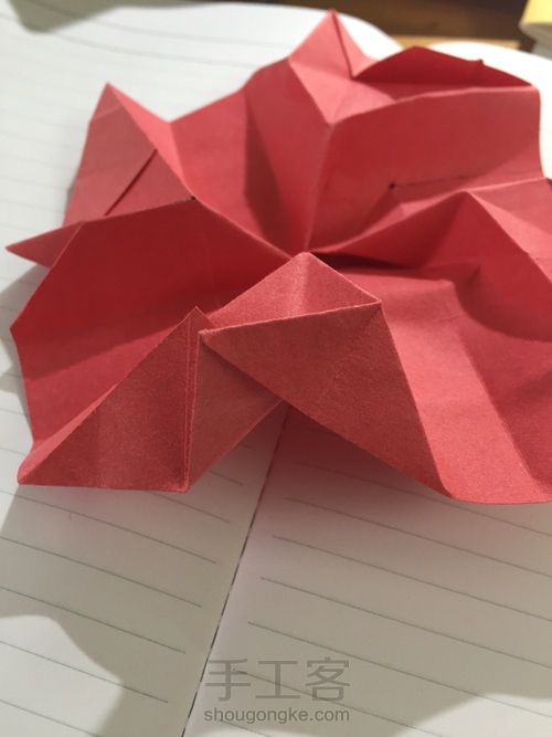 表白必送的川崎玫瑰【比心 第34步