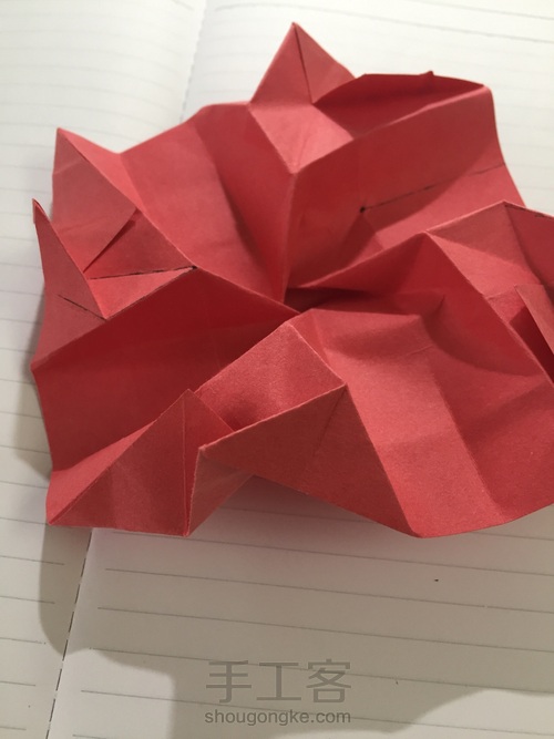 表白必送的川崎玫瑰【比心 第35步