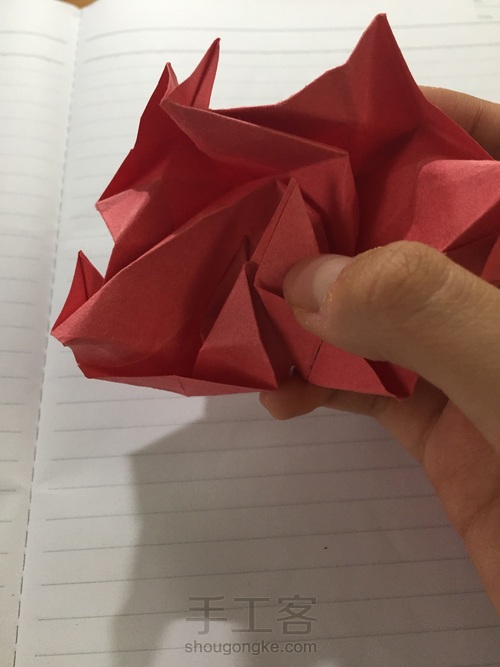 表白必送的川崎玫瑰【比心 第42步