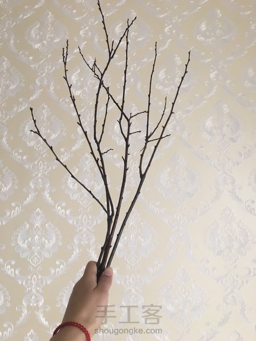 开心果干花束 第5步