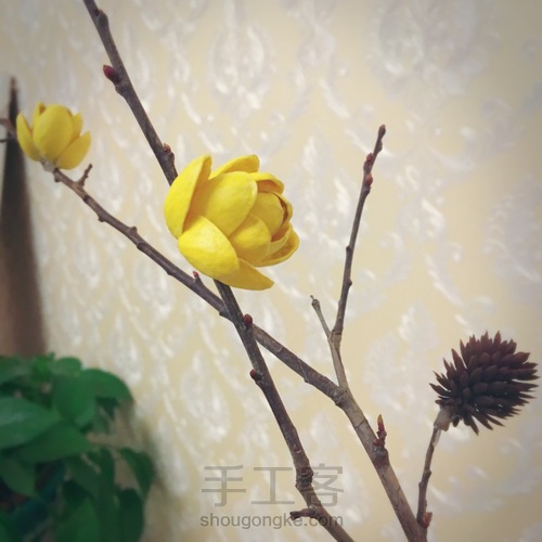 开心果干花束 第9步