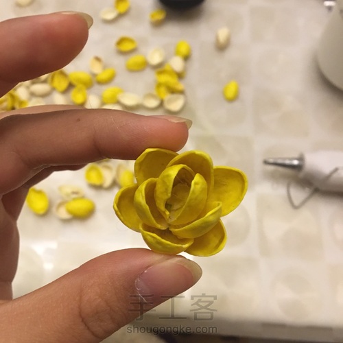 开心果干花束 第7步