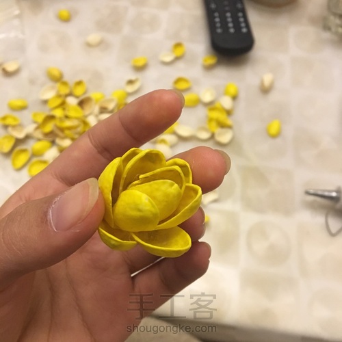 开心果干花束 第8步