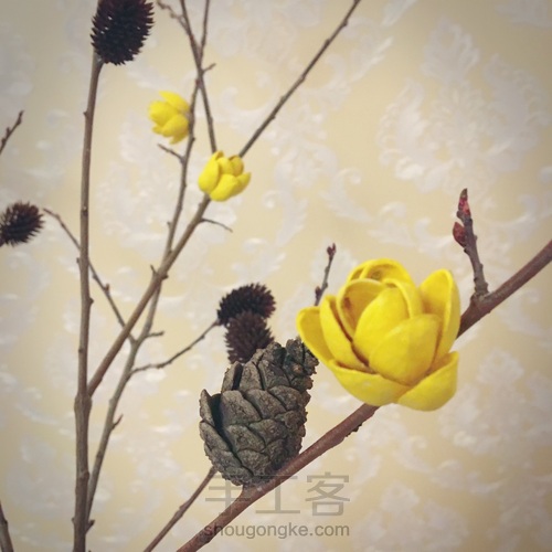 开心果干花束 第10步