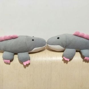 可爱的短尾巴鳄鱼