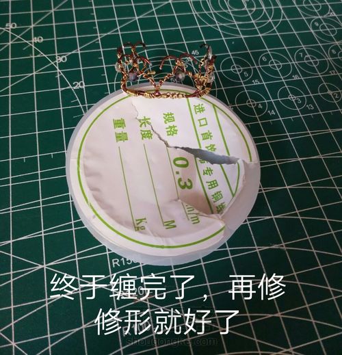 迷你小王冠 第13步