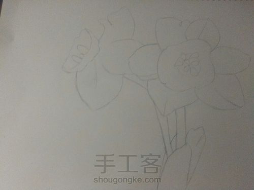 窗台上的水仙花 第1步