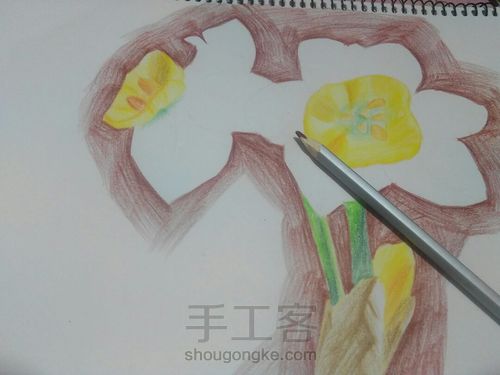 窗台上的水仙花 第6步