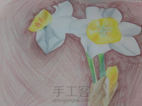 窗台上的水仙花 第9步